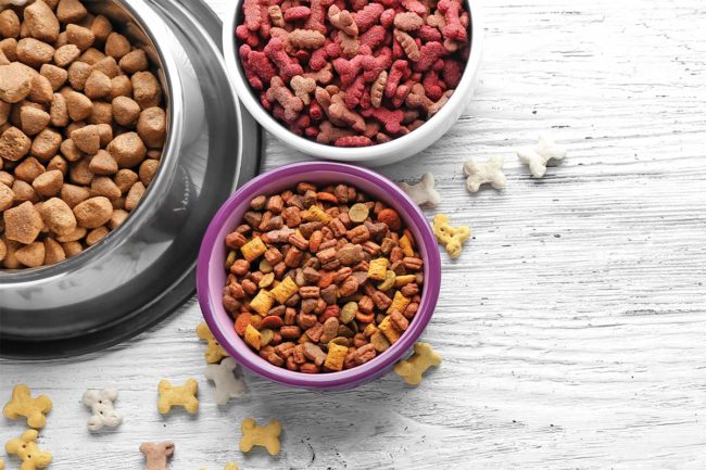 Pet food trends searching for consumer and nutritional demands to drive product innovation