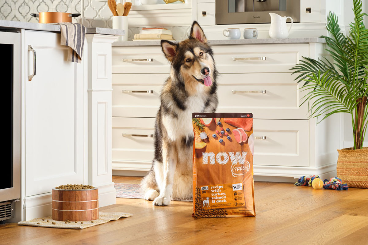 Petcurean’s NOW FRESH™ line offers diets for dogs and cats of all life stages