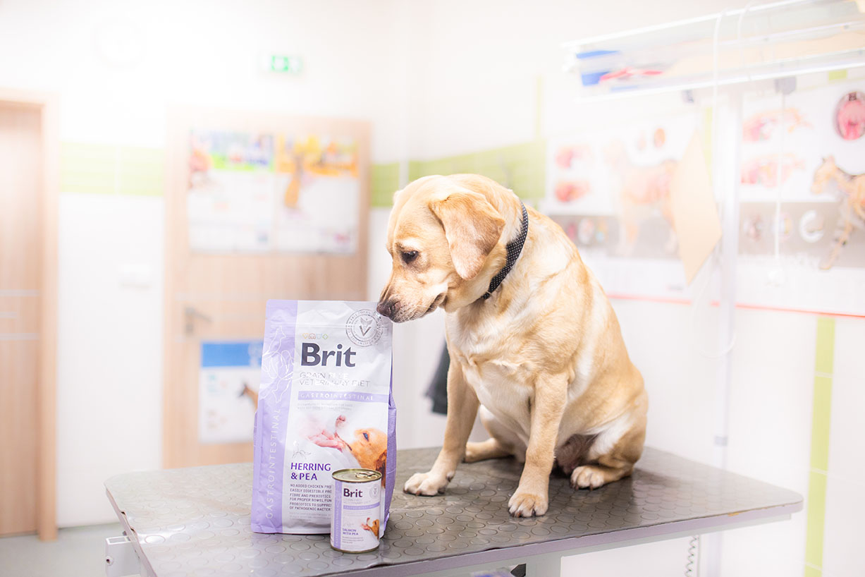 The expanded Brit Veterinary Diet line includes various new formulas for dogs